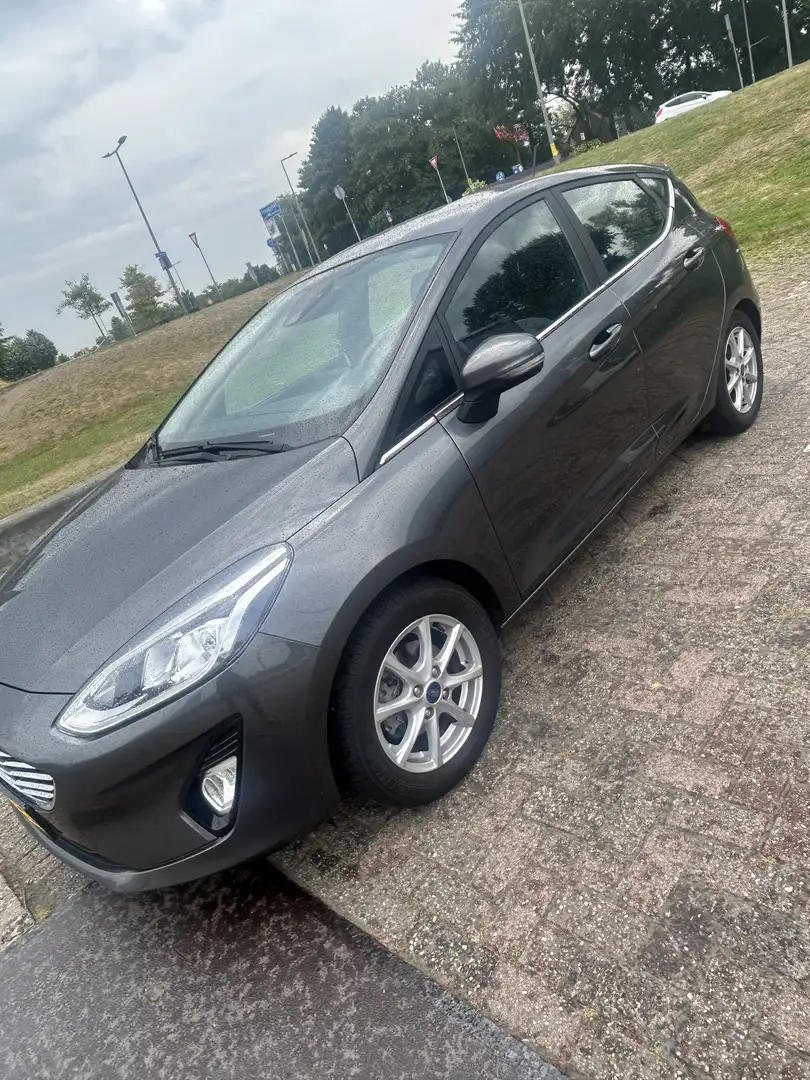 Ford Fiesta 1.0 EcoB. Titanium Grijs - 2
