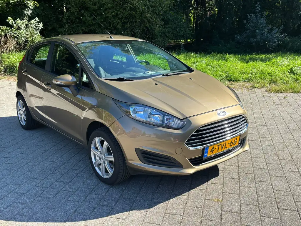 Ford Fiesta 2014 из Европы — купить под ключ