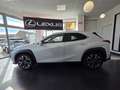 Lexus UX 200 UX 2019 250h 2.0 Luxury 4wd cvt my20 Blanco - thumbnail 3