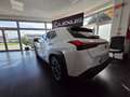 Lexus UX 200 UX 2019 250h 2.0 Luxury 4wd cvt my20 Blanco - thumbnail 4