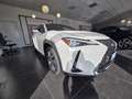 Lexus UX 200 UX 2019 250h 2.0 Luxury 4wd cvt my20 Blanco - thumbnail 21