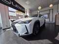 Lexus UX 200 UX 2019 250h 2.0 Luxury 4wd cvt my20 Blanco - thumbnail 1