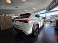 Lexus UX 200 UX 2019 250h 2.0 Luxury 4wd cvt my20 Blanco - thumbnail 6