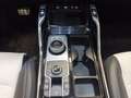 Kia Sorento 1.6 T-GDI  Platinum|4WD|Navi|HUD|Pano Weiß - thumbnail 13