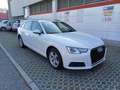 Audi A4 A4 Avant 2.0 TDI 150 cv Business S-Tronic Bianco - thumbnail 2