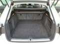 Audi A4 A4 Avant 2.0 TDI 150 cv Business S-Tronic Bianco - thumbnail 15