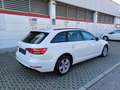 Audi A4 A4 Avant 2.0 TDI 150 cv Business S-Tronic Bianco - thumbnail 3