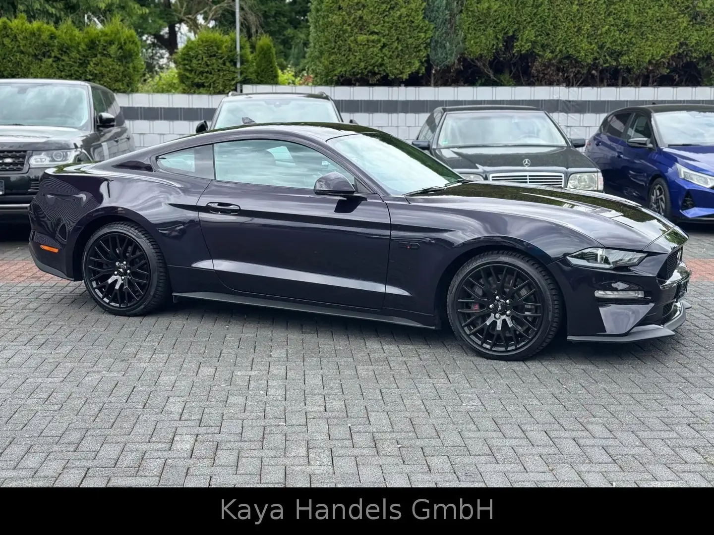 Ford Mustang GT Premium/B&O/1.Hand/Deutsch Blau - 2
