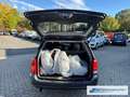 Ford Focus TurnierVivaX GA Klima Beheizb. Frontsch. *EXPORT Grau - thumbnail 16