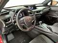 Lexus UX 250h Business 2WD Rot - thumbnail 11
