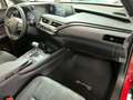 Lexus UX 250h Business 2WD Rot - thumbnail 12