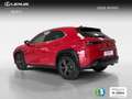 Lexus UX 250h Business 2WD Rot - thumbnail 5