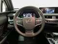 Lexus UX 250h Business 2WD Rot - thumbnail 16