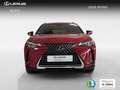Lexus UX 250h Business 2WD Rot - thumbnail 8