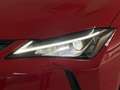 Lexus UX 250h Business 2WD Rot - thumbnail 40
