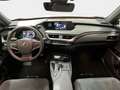 Lexus UX 250h Business 2WD Rot - thumbnail 15