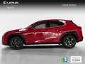 Lexus UX 250h Business 2WD Rot - thumbnail 6