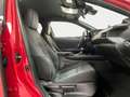 Lexus UX 250h Business 2WD Rot - thumbnail 10