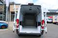 Fiat Ducato MAXI L3H3 180 Automatik Voll Ausstattung... Weiß - thumbnail 15