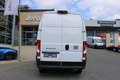 Fiat Ducato MAXI L3H3 180 Automatik Voll Ausstattung... Weiß - thumbnail 14