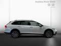 Volkswagen Golf Variant Alltrack Golf VIII Variant 4MOTION 2,0 l TDI Bianco - thumbnail 3
