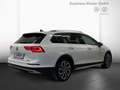 Volkswagen Golf Variant Alltrack Golf VIII Variant 4MOTION 2,0 l TDI Bianco - thumbnail 4