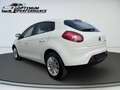 Fiat Bravo 1.4 POP Weiß - thumbnail 4