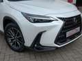 Lexus NX 450h+ *Plug-in* AWD Executive Line +Zetelventi +Leder Blanc - thumbnail 2