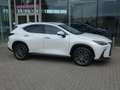 Lexus NX 450h+ *Plug-in* AWD Executive Line +Zetelventi +Leder Blanc - thumbnail 4