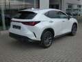 Lexus NX 450h+ *Plug-in* AWD Executive Line +Zetelventi +Leder Blanc - thumbnail 5