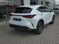 Lexus NX 450h+ *Plug-in* AWD Executive Line +Zetelventi +Leder Blanc - thumbnail 6
