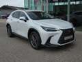 Lexus NX 450h+ *Plug-in* AWD Executive Line +Zetelventi +Leder Blanc - thumbnail 3