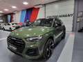 Audi 50 Sportback TFSIe Black line quattro-ultra S tronic Grün - thumbnail 2