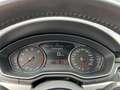 Audi A4 Avant 40TFSI+Automatik+360°Kamera+AHK+DAB+LED Gris - thumbnail 11