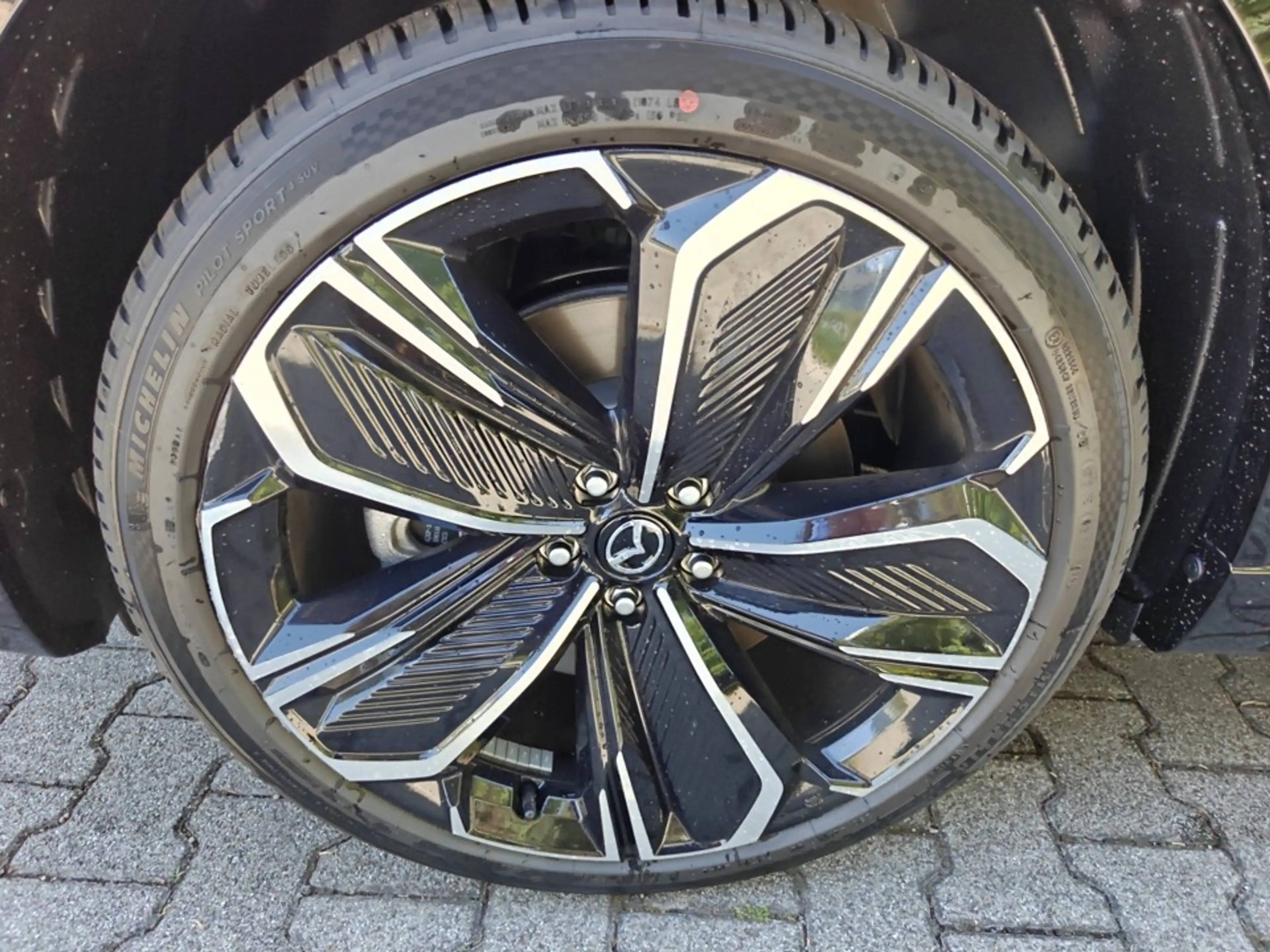 Mazda CX-6e EV 1AT RWD Takumi BKTR PABS — photo 9