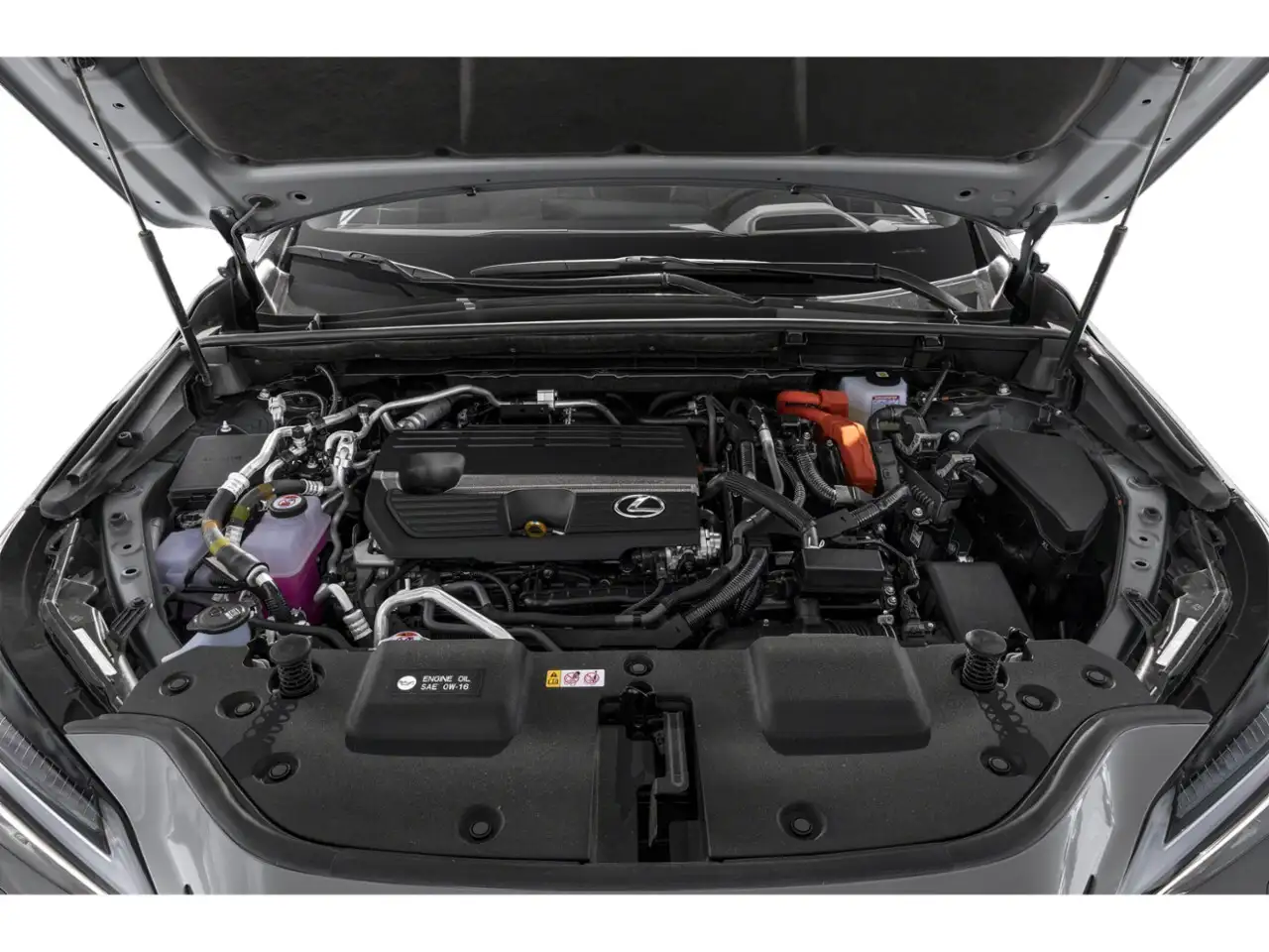 Lexus NX fotografie Lexus NX