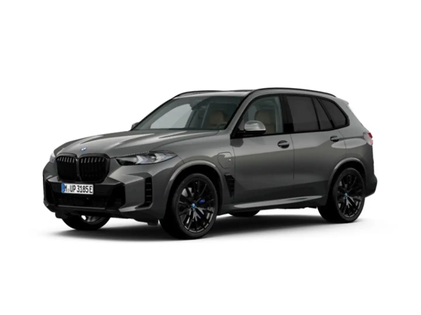BMW X5 xDrive 50e xLine M Sport Gris - 1