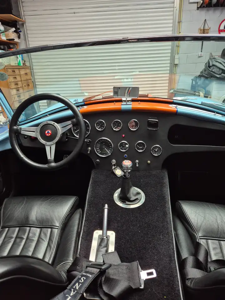 AC Cobra RAM SC 1988 V8 TVR 400, foto 10
