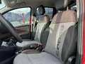Fiat Panda Cross 4x4 0.9 TA 85 Rot - thumbnail 13
