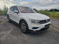 Volkswagen Tiguan 2,0 TDI SCR 4Motion Highline DSG - thumbnail 2