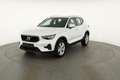 Volvo XC40 Core 2WD B3 Mild-Hybrid Core, Navi, Thors Hamme... Weiß - thumbnail 28