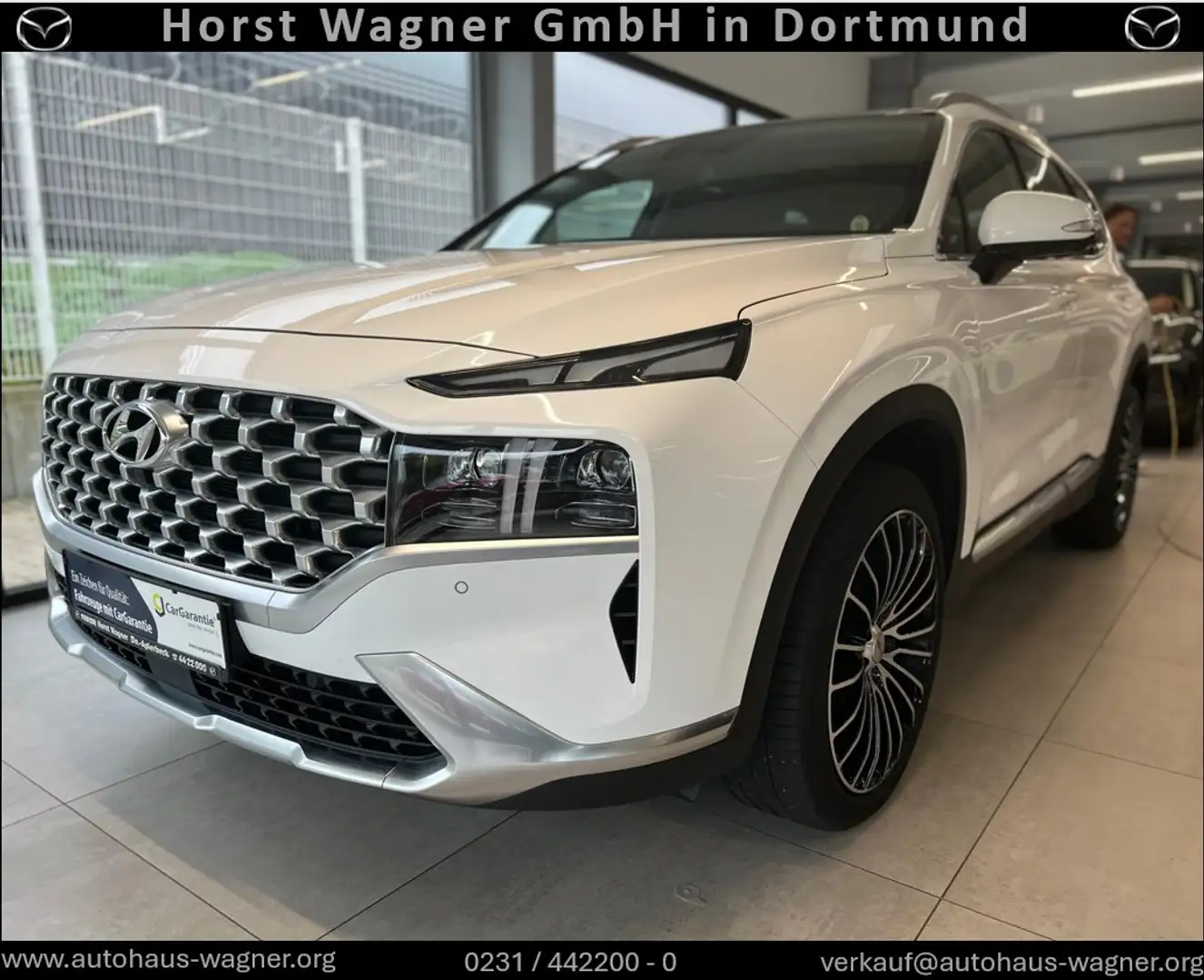 Hyundai SANTA FE 265 PS Prime Plug-In Hybrid 4WD *6-Sitzer*Navi*Pan Wit - 1