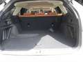 Subaru OUTBACK 2.5i Platinum Lineartronic Beige - thumbnail 9