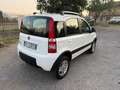 Fiat Panda Panda 1.3 MJT 16V DPF 4x4 Climbing - thumbnail 5