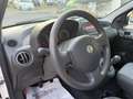 Fiat Panda Panda 1.3 MJT 16V DPF 4x4 Climbing - thumbnail 12