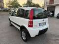 Fiat Panda Panda 1.3 MJT 16V DPF 4x4 Climbing - thumbnail 4