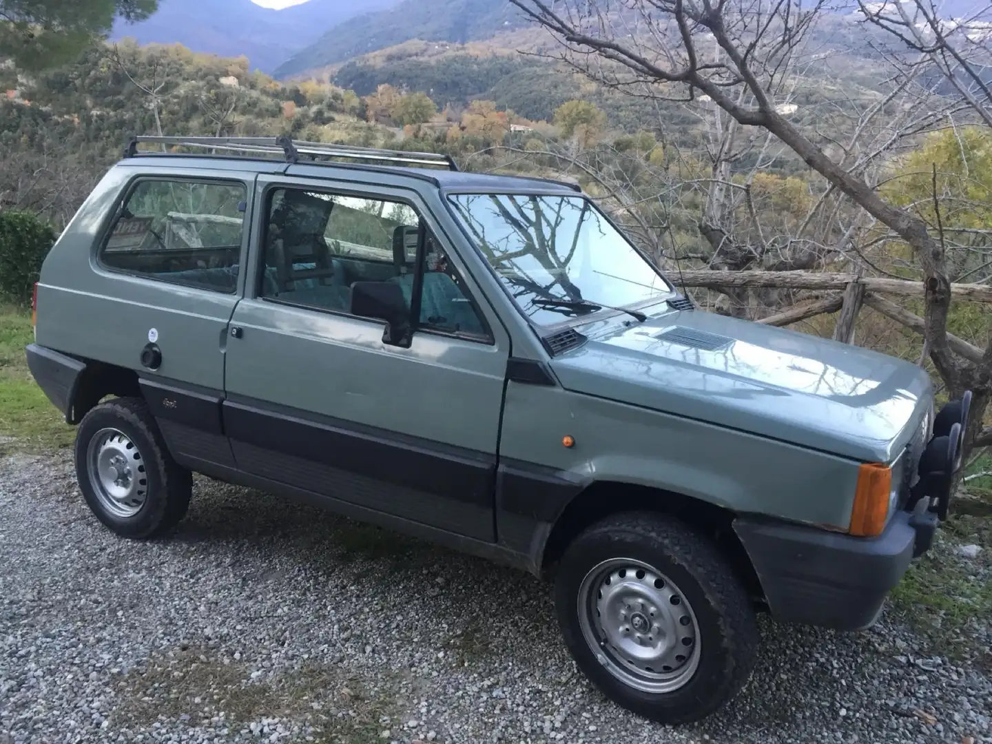 Fiat Panda 1.0 4x4 my85 Verde - 1