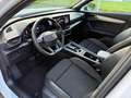 CUPRA Formentor 2.0 TDI 4Drive DSG LED - ACC - TELEC. POST - 18 Blanc - thumbnail 9