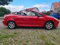 Peugeot 307 Cabrio,Klima,Zahnriemen u Kupplung schon neu!! HU Červená - thumbnail 6