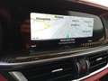 Alfa Romeo Stelvio 2.9 Bi-Turbo V6 510 CV AT8 Quadrifoglio Grigio - thumbnail 19